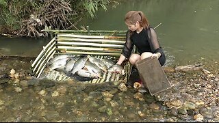 Fishing Techniques | build a fishing net system on a small tributary | catch a lot of fish Ep39