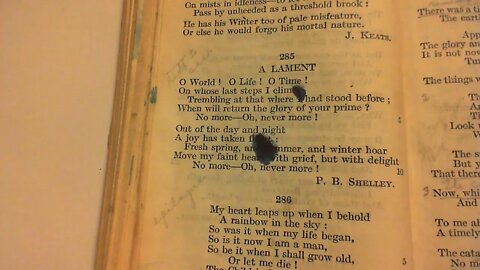 A Lament - P. B. Shelley