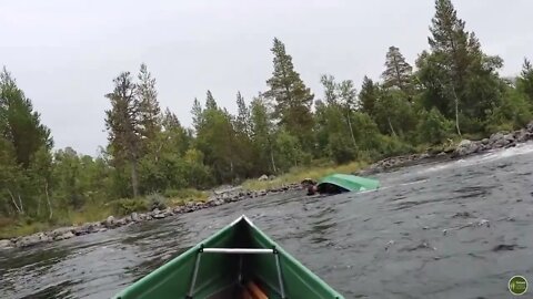 Norwegian Wilderness Canoe Tour. Exhausted, overturned in the rapids. last two days * 21