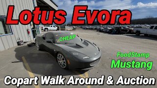 Lotus Evora Cheap, Jaguar XF, BMW M4, Copart Walk Around And Auction