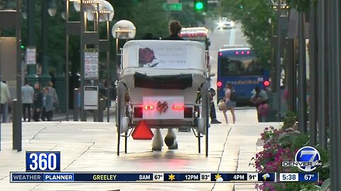 Horse-drawn carriages in Denver: Should they stay or should they go?