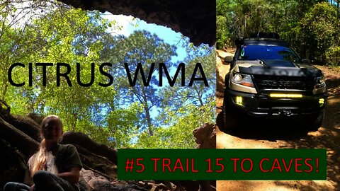 Citrus WMA 5 - Trail 15 to Dames Cave w/ AEV ZR2 Bison