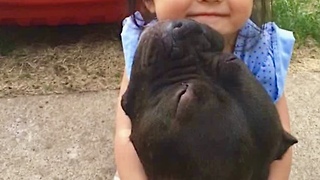 Baby Scolds Her Bully Puppy for Eating in Living Room