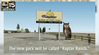 First look at "Raptor Ranch," the birds-of-prey attraction planned in Northern Arizona - ABC15 Things To Do