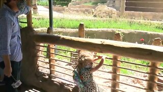 Families excited to be able to enjoy the Denver Zoo again