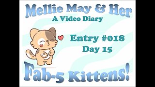 Video Diary Entry 018: Day 15 - Mine! Mine! Dive! Dive!