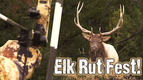 Public land bonanza! Elk hunting DIY