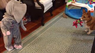 Baby in elephant costume scares off dog