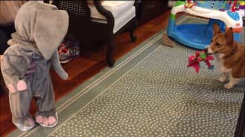 Baby in elephant costume scares off dog