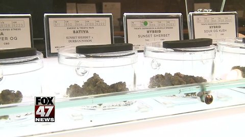 City Clerk approves med. marijuana dispensaries