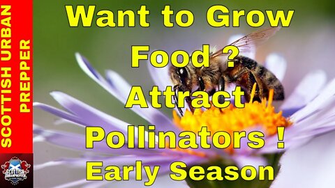 Prepping - Early Season Pollinators Prepare you Garden for Success