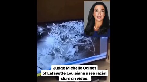 Judge uses racial slurs while watching security video.