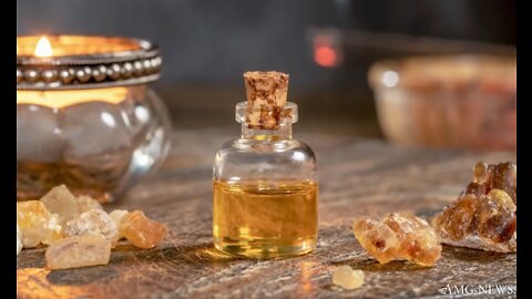 Frankincense Oil Kills Cancer Cells While Boosting The Immune System