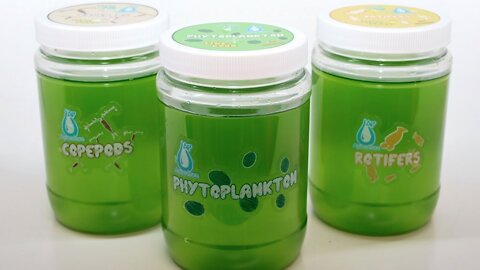 Does Your Aquarium Need Phytoplankton?