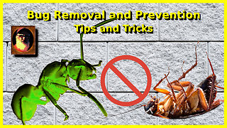 Household Bug Removal and Prevention Techniques.