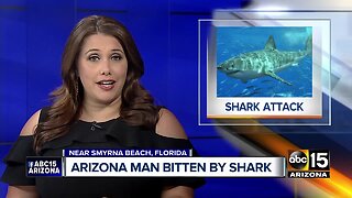 Arizona man bitten by shark