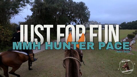 Endurance Mule- Misty Morning Hounds Hunter Pace 2022