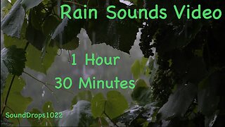 1 Hour 30 Minutes Rain Retreat: Deep Mindful Soothing