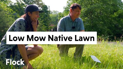 A LOW MOW, NATIVE LAWN? Sign Us Up! — Ep. 044