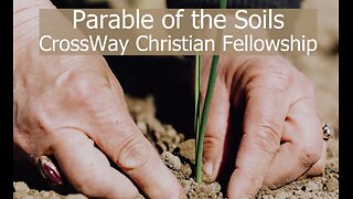 Parable of the Soils (Matthew 13:1-9; 18-23; Luke 8:4-15)