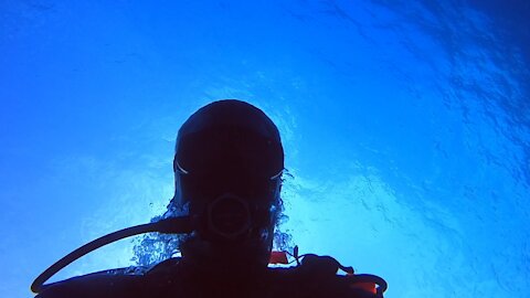 Dive day at Milolii Hawaii! 01/29/21 🤙🤙