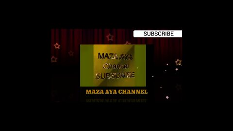 Respect Mariyam Nawaz || Nawaz Sharif-PMLN
