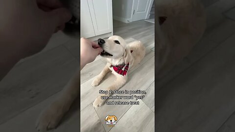 "Adorable Puppy Masters the 'Play Dead' Trick!
