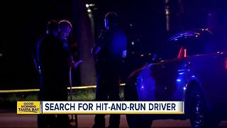 Police look for driver that hit a bicyclist in St. Petersburg