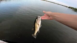 Bass Fishing and Cast Netting in Florida