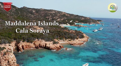 Hear and See the Paradise: Trip to Maddalena Islands | Splendid Nature | Harmonious scenery
