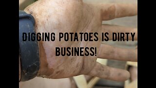 Digging potatoes 🥔