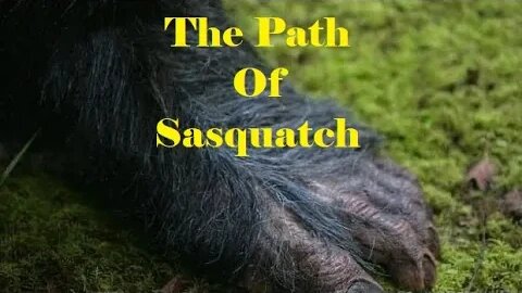 The Path Of Sasquatch