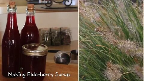 Living life - Vlog 26 | We need fellowship ~Making elderberry syrup~