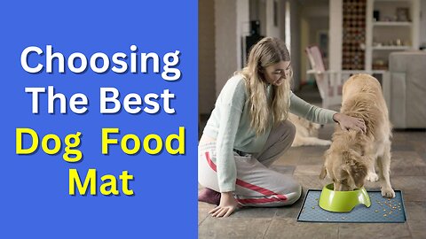 19 Tips for Choosing the Best Dog Food Mat | Daily Shopping Tips