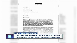 Executives, politicians, family vouch for Collins' leniency