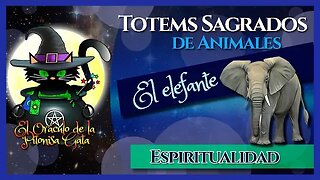 🐘El TOTEM de EL ELEFANTE👍El elefante como ANIMAL DE PODER 🌸 ESPIRITUALIDAD😇