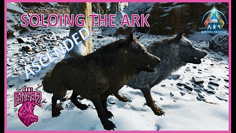 Dire Wolf Taming Soling ARK Ascended EP. 68