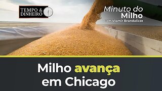 Milho avança em Chicago