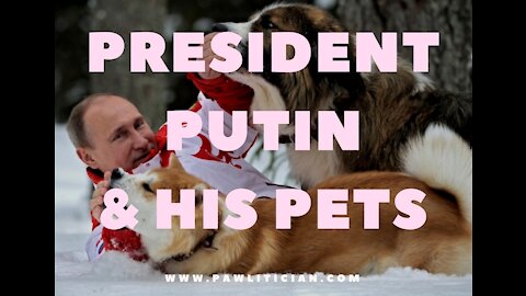 Russian President Putin and his Pets