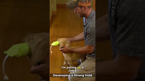 Teach Your Retriever To Have A Natural Hold