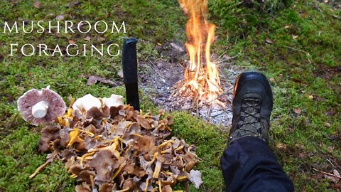 WILD MUSHROOM FORAGING | FORAGE AND COOK | LIBRENG KABUTE