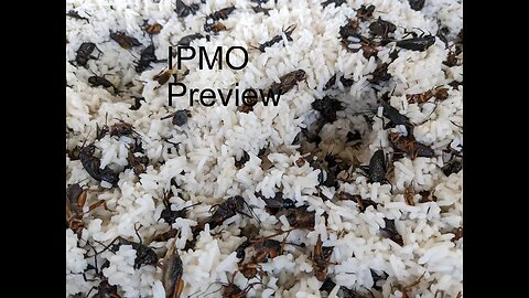 IPMO Indigenous Pest Management Organisms Preview Trailer