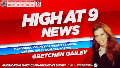High At 9 News : Gretchen Gailey - Mendocino County Cannabis Farmers Beg for Help From California