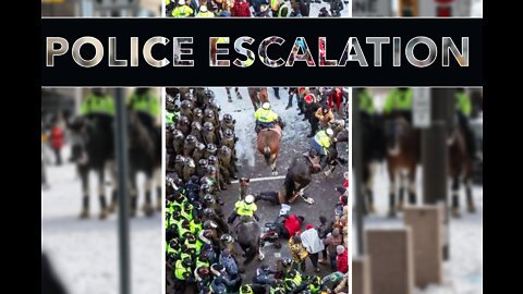 POLICE ESCALATION - Police Horses Trample Canadian Patriots