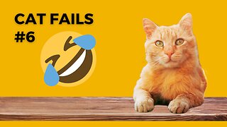 NEW ~ Funny Cat Videos Fails #6 ~ Crazy Animal Fails for Kids