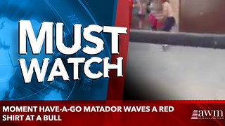 Moment have-a-go matador waves a red shirt at a bull