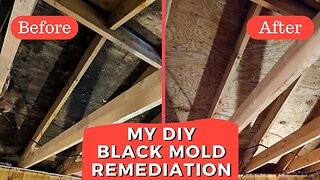 How-To Black Mold Remediation Experience with RMR 86 & RMR 141 to clean up and remove my attic mold