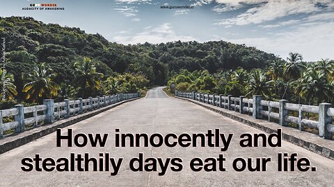 How innocently and stealthily days eat our life.