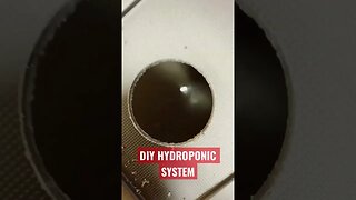 Hydroponics -DIY system for growing lettuce/herbs/tomatoes all indoors!