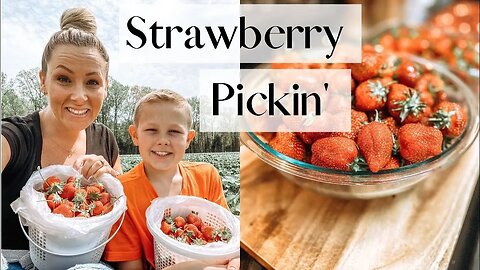 Strawberry Pickin' with Us! 🍓 || Family Time + Good Food || Supporting our Local Farms!